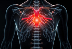 Ryggradens hemligheter: förstå anatomi och förebygg ryggbesvär