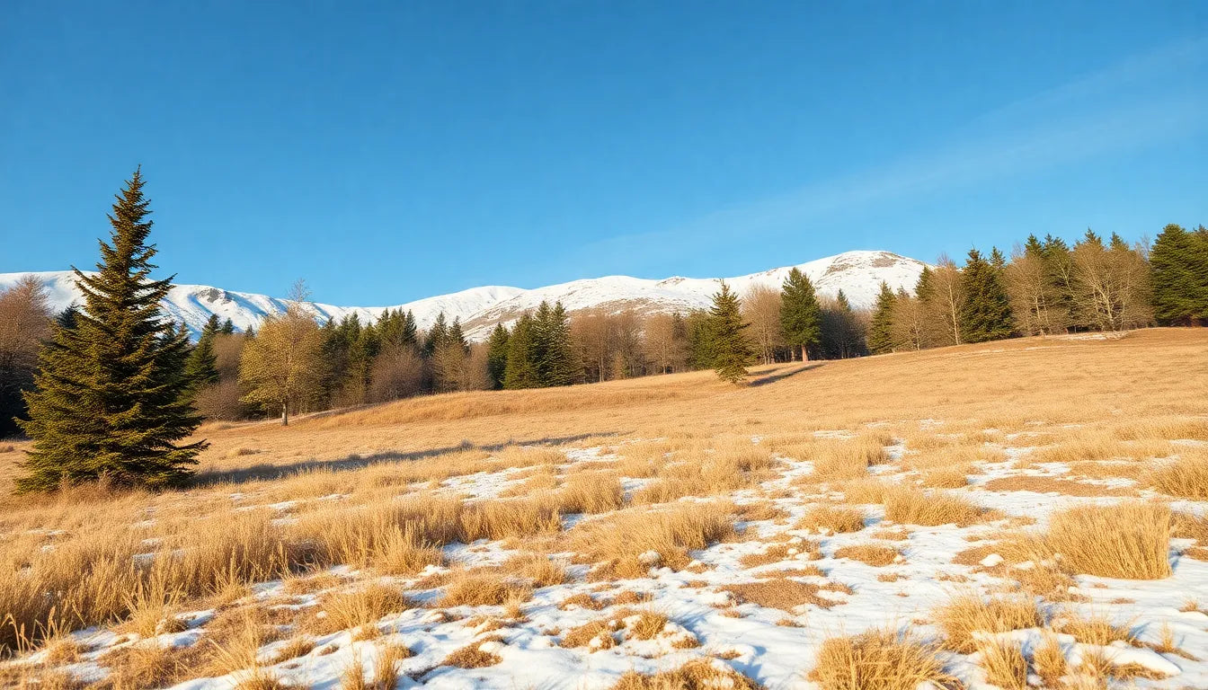 Vågar du springa med ont i ländryggen? Här är vad du bör veta! - Illustration