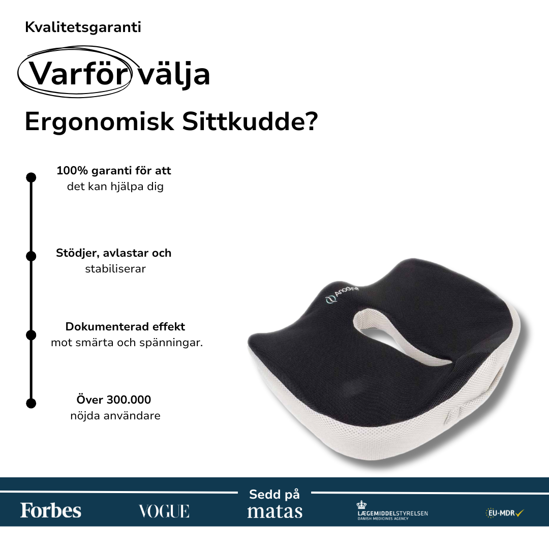 Ergonomisk Sittkudde
