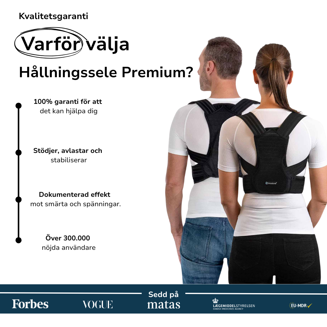 Hållningssele Premium