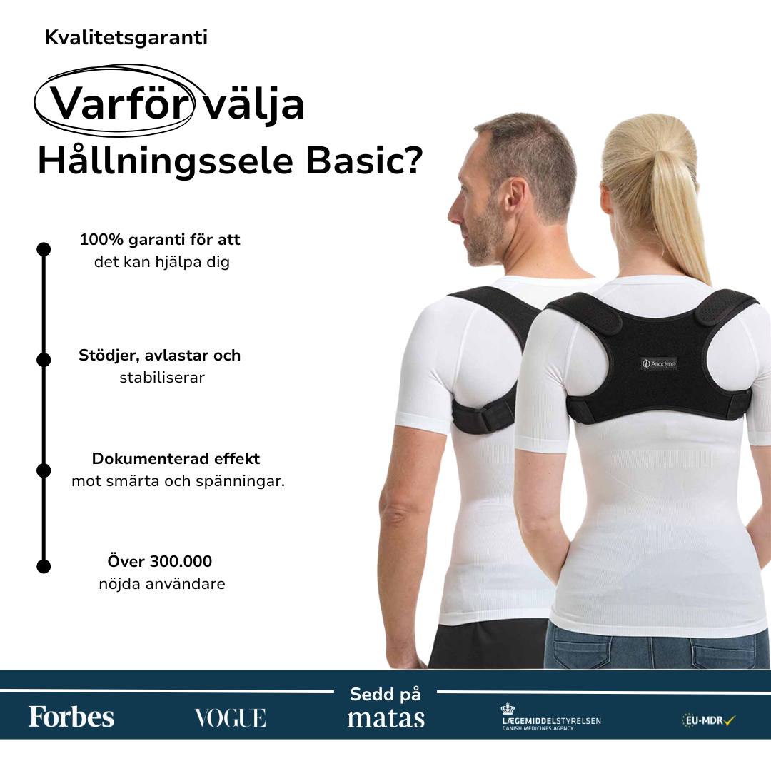 Hållningssele Basic