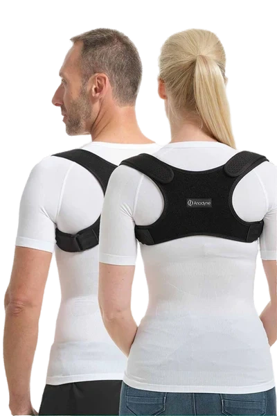 Hållningssele Basic