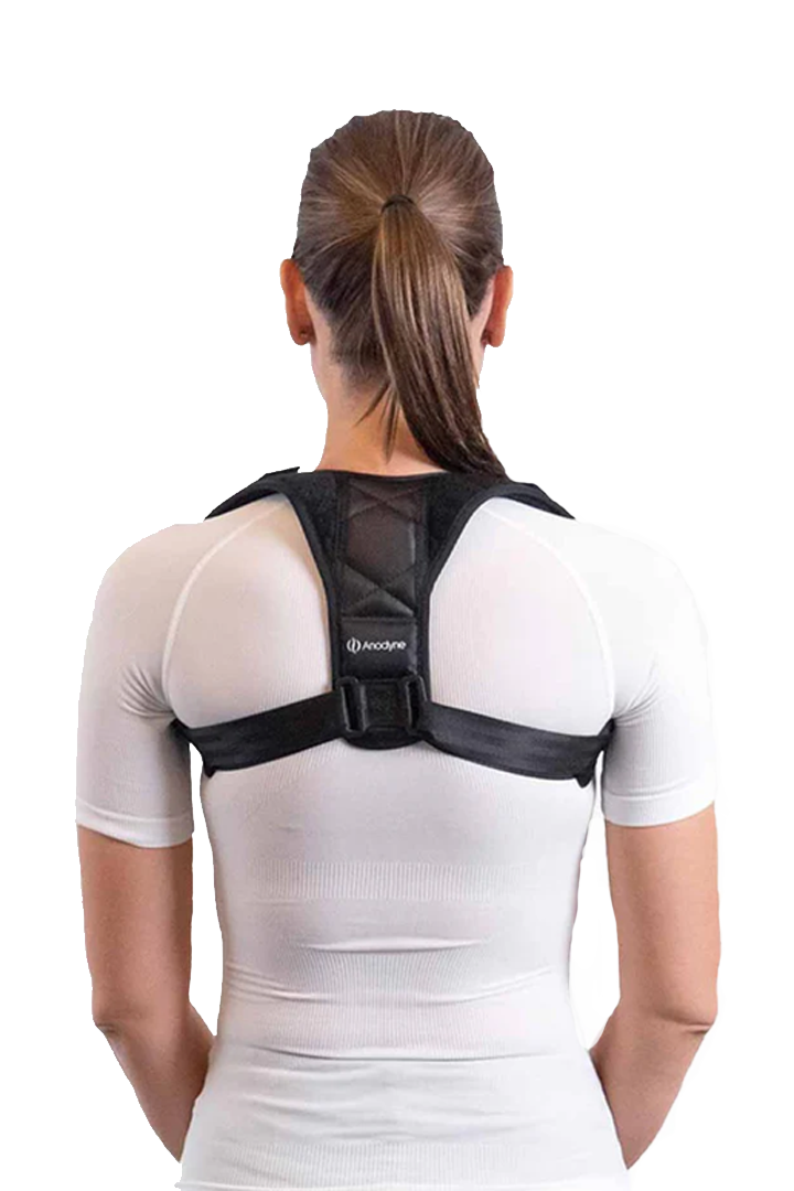 Hållningssele Comfort+